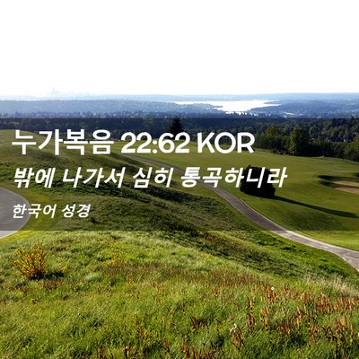 Picture 02 - 누가복음 22:62 KOR - 밖에 나가서 심히 - Bible Verse Picture