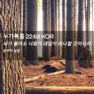 Picture 02 - 누가복음 22:68 KOR - 내가 물어도 너희가 대답지 아니할 - Bible Verse Picture