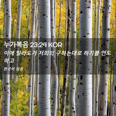 Picture 02 - 누가복음 23:24 KOR - 이에 빌라도가 저희의 구하는대로 - Bible Verse Picture