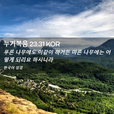 Picture 02 - 누가복음 23:31 KOR - 푸른 나무에도 이같이 하거든 마른 - Bible Verse Picture