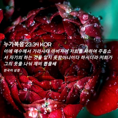 Picture 02 - 누가복음 23:34 KOR - 이에 예수께서 가라사대 아버지여 - Bible Verse Picture