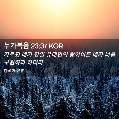 Picture 02 - 누가복음 23:37 KOR - 가로되 네가 만일 유대인의 왕이어든 - Bible Verse Picture