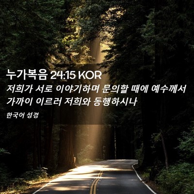 Picture 02 - 누가복음 24:15 KOR - 저희가 서로 이야기하며 문의할 때에 - Bible Verse Picture