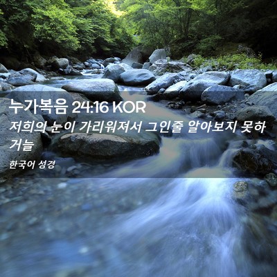 Picture 02 - 누가복음 24:16 KOR - 저희의 눈이 가리워져서 그인줄 - Bible Verse Picture
