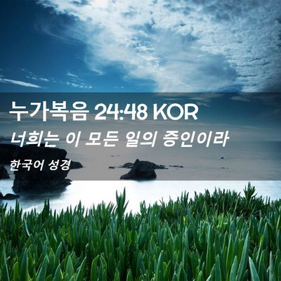 Picture 02 - 누가복음 24:48 KOR - 너희는 이 모든 일의 - Bible Verse Picture