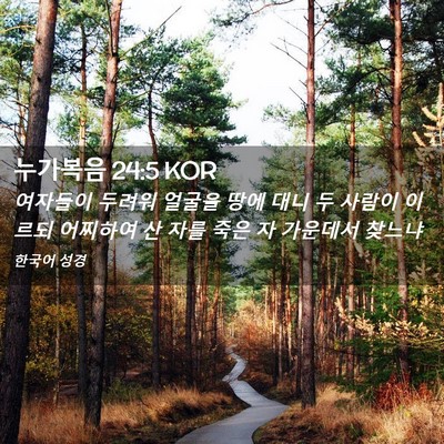 Picture 02 - 누가복음 24:5 KOR - 여자들이 두려워 얼굴을 땅에 대니 - Bible Verse Picture