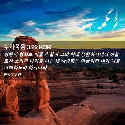 Picture 02 - 누가복음 3:22 KOR - 성령이 형체로 비둘기 같이 그의 - Bible Verse Picture