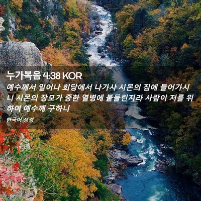 Picture 02 - 누가복음 4:38 KOR - 예수께서 일어나 회당에서 나가사 - Bible Verse Picture