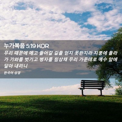 Picture 02 - 누가복음 5:19 KOR - 무리 때문에 메고 들어갈 길을 얻지 - Bible Verse Picture