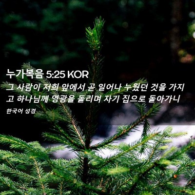 Picture 02 - 누가복음 5:25 KOR - 그 사람이 저희 앞에서 곧 일어나 - Bible Verse Picture