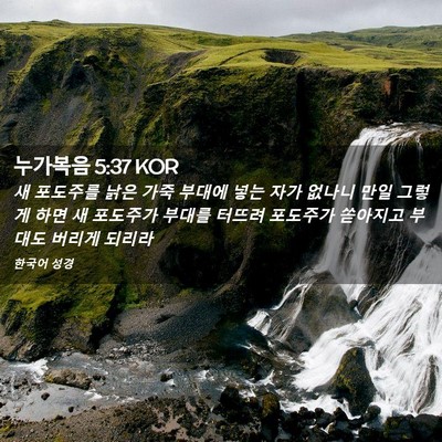 Picture 02 - 누가복음 5:37 KOR - 새 포도주를 낡은 가죽 부대에 넣는 - Bible Verse Picture