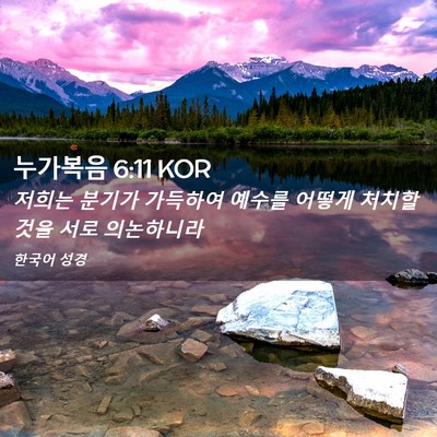 Picture 02 - 누가복음 6:11 KOR - 저희는 분기가 가득하여 예수를 - Bible Verse Picture