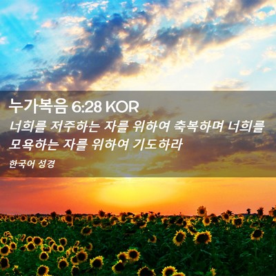 Picture 02 - 누가복음 6:28 KOR - 너희를 저주하는 자를 위하여 - Bible Verse Picture