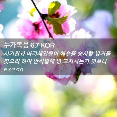 Picture 02 - 누가복음 6:7 KOR - 서기관과 바리새인들이 예수를 - Bible Verse Picture