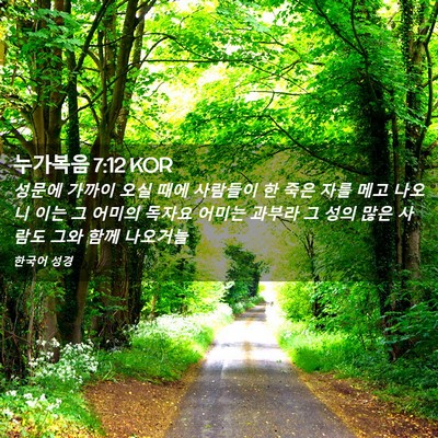 Picture 02 - 누가복음 7:12 KOR - 성문에 가까이 오실 때에 사람들이 - Bible Verse Picture
