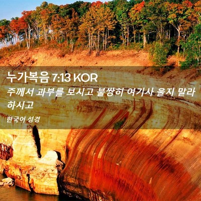 Picture 02 - 누가복음 7:13 KOR - 주께서 과부를 보시고 불쌍히 여기사 - Bible Verse Picture