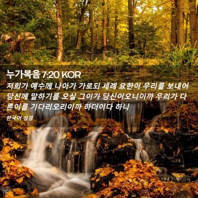Picture 02 - 누가복음 7:20 KOR - 저희가 예수께 나아가 가로되 세례 - Bible Verse Picture
