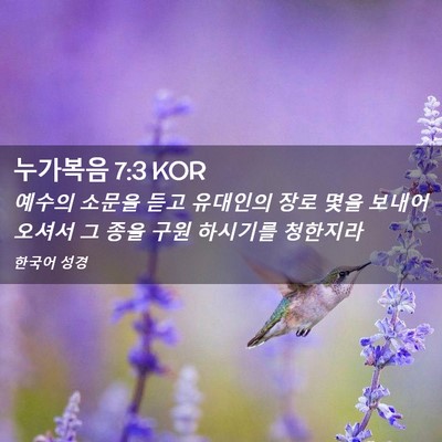 Picture 02 - 누가복음 7:3 KOR - 예수의 소문을 듣고 유대인의 장로 - Bible Verse Picture