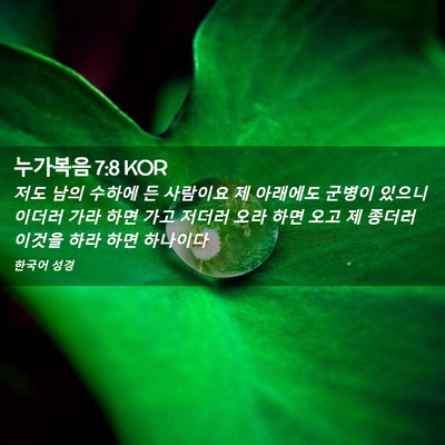 Picture 02 - 누가복음 7:8 KOR - 저도 남의 수하에 든 사람이요 제 - Bible Verse Picture