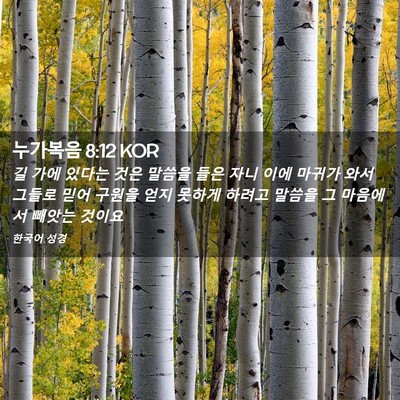 Picture 02 - 누가복음 8:12 KOR - 길 가에 있다는 것은 말씀을 들은 - Bible Verse Picture
