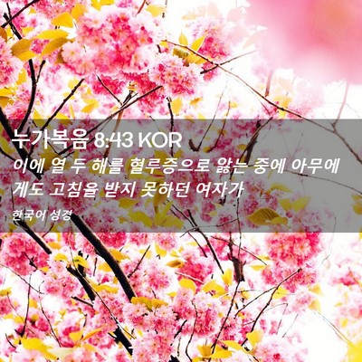 Picture 02 - 누가복음 8:43 KOR - 이에 열 두 해를 혈루증으로 앓는 - Bible Verse Picture