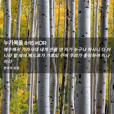 Picture 02 - 누가복음 8:45 KOR - 예수께서 가라사대 내게 손을 댄 - Bible Verse Picture