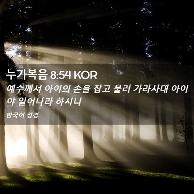 Picture 02 - 누가복음 8:54 KOR - 예수께서 아이의 손을 잡고 불러 - Bible Verse Picture
