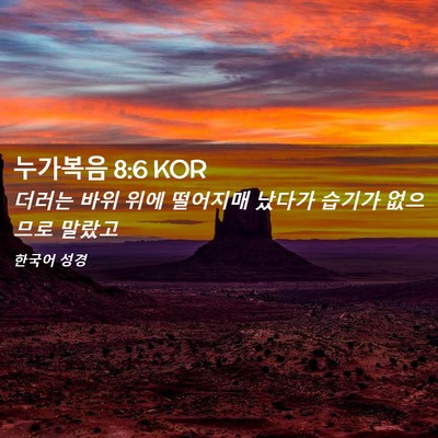 Picture 02 - 누가복음 8:6 KOR - 더러는 바위 위에 떨어지매 났다가 - Bible Verse Picture