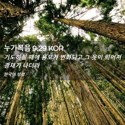 Picture 02 - 누가복음 9:29 KOR - 기도하실 때에 용모가 변화되고 그 - Bible Verse Picture
