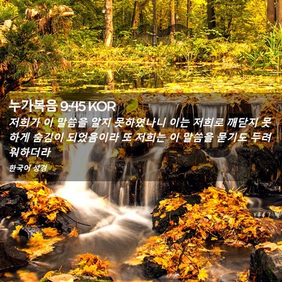 Picture 02 - 누가복음 9:45 KOR - 저희가 이 말씀을 알지 못하였나니 - Bible Verse Picture