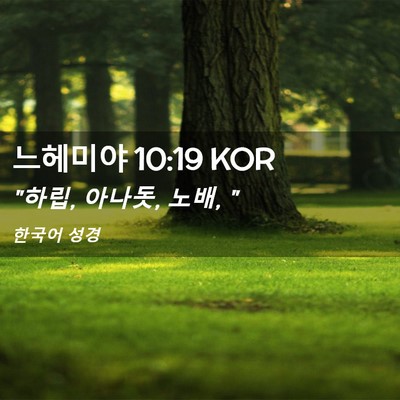 Picture 02 - 느헤미야 10:19 KOR - 