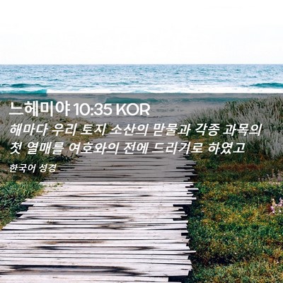 Picture 02 - 느헤미야 10:35 KOR - 해마다 우리 토지 소산의 맏물과 - Bible Verse Picture