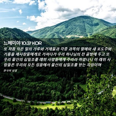 Picture 02 - 느헤미야 10:37 KOR - 또 처음 익은 밀의 가루와 거제물과 - Bible Verse Picture