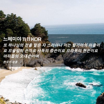 Picture 02 - 느헤미야 11:11 KOR - 또 하나님의 전을 맡은 자 스라야니 - Bible Verse Picture