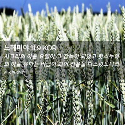 Picture 02 - 느헤미야 11:9 KOR - 시그리의 아들 요엘이 그 감독이 - Bible Verse Picture