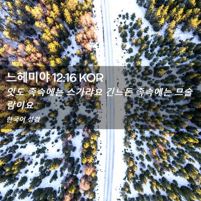 Picture 02 - 느헤미야 12:16 KOR - 잇도 족속에는 스가랴요 긴느돈 - Bible Verse Picture