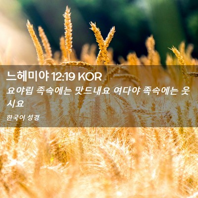 Picture 02 - 느헤미야 12:19 KOR - 요야립 족속에는 맛드내요 여다야 - Bible Verse Picture