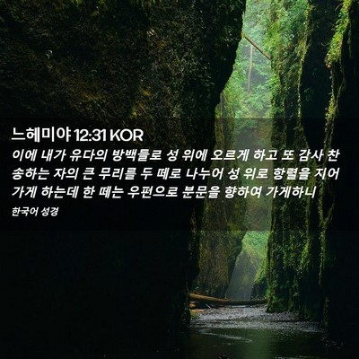 Picture 02 - 느헤미야 12:31 KOR - 이에 내가 유다의 방백들로 성 위에 - Bible Verse Picture