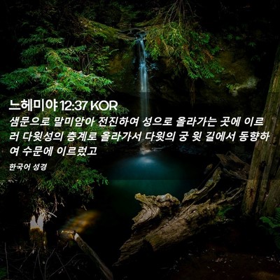 Picture 02 - 느헤미야 12:37 KOR - 샘문으로 말미암아 전진하여 성으로 - Bible Verse Picture