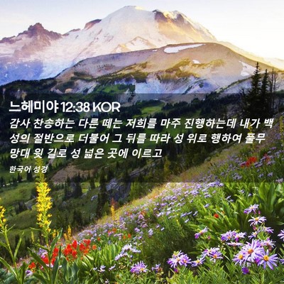 Picture 02 - 느헤미야 12:38 KOR - 감사 찬송하는 다른 떼는 저희를 - Bible Verse Picture