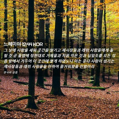 Picture 02 - 느헤미야 12:44 KOR - 그 날에 사람을 세워 곳간을 맡기고 - Bible Verse Picture
