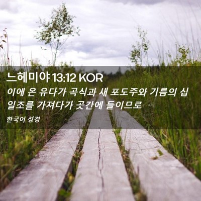 Picture 02 - 느헤미야 13:12 KOR - 이에 온 유다가 곡식과 새 포도주와 - Bible Verse Picture