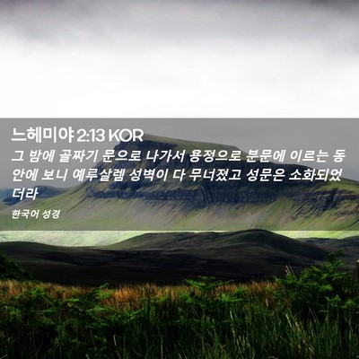 Picture 02 - 느헤미야 2:13 KOR - 그 밤에 골짜기 문으로 나가서 - Bible Verse Picture