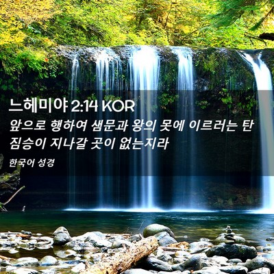 Picture 02 - 느헤미야 2:14 KOR - 앞으로 행하여 샘문과 왕의 못에 - Bible Verse Picture