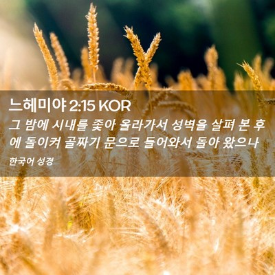 Picture 02 - 느헤미야 2:15 KOR - 그 밤에 시내를 좇아 올라가서 - Bible Verse Picture
