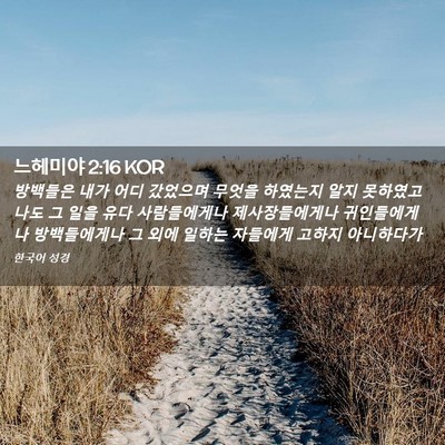 Picture 02 - 느헤미야 2:16 KOR - 방백들은 내가 어디 갔었으며 무엇을 - Bible Verse Picture