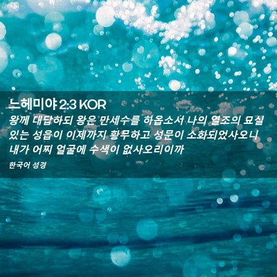 Picture 02 - 느헤미야 2:3 KOR - 왕께 대답하되 왕은 만세수를 - Bible Verse Picture