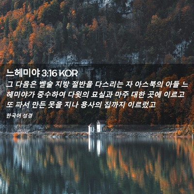 Picture 02 - 느헤미야 3:16 KOR - 그 다음은 벧술 지방 절반을 - Bible Verse Picture
