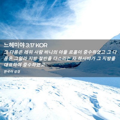 Picture 02 - 느헤미야 3:17 KOR - 그 다음은 레위 사람 바니의 아들 - Bible Verse Picture
