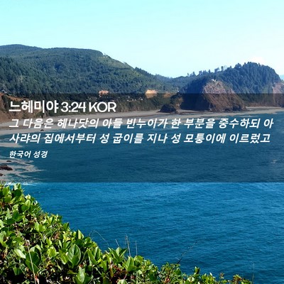 Picture 02 - 느헤미야 3:24 KOR - 그 다음은 헤나닷의 아들 빈누이가 - Bible Verse Picture